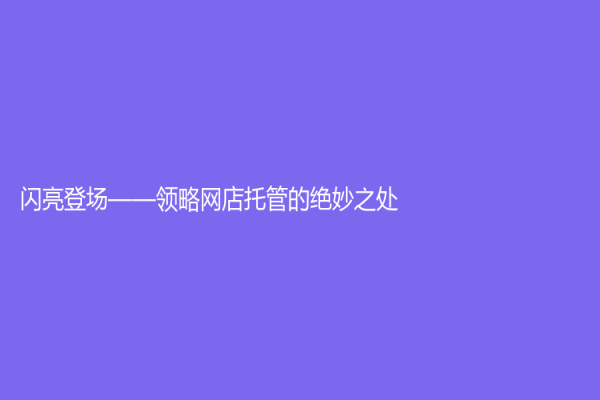 閃亮登場——領略網店托管的絕妙之處